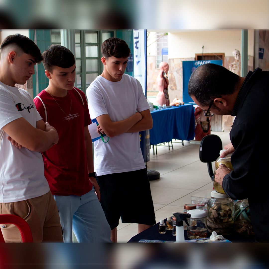 Feira DoCarmo005