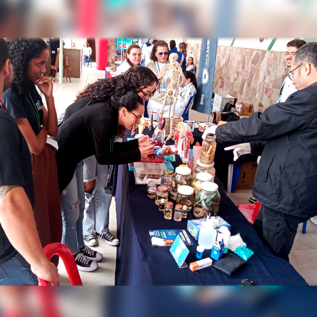 Feira DoCarmo014