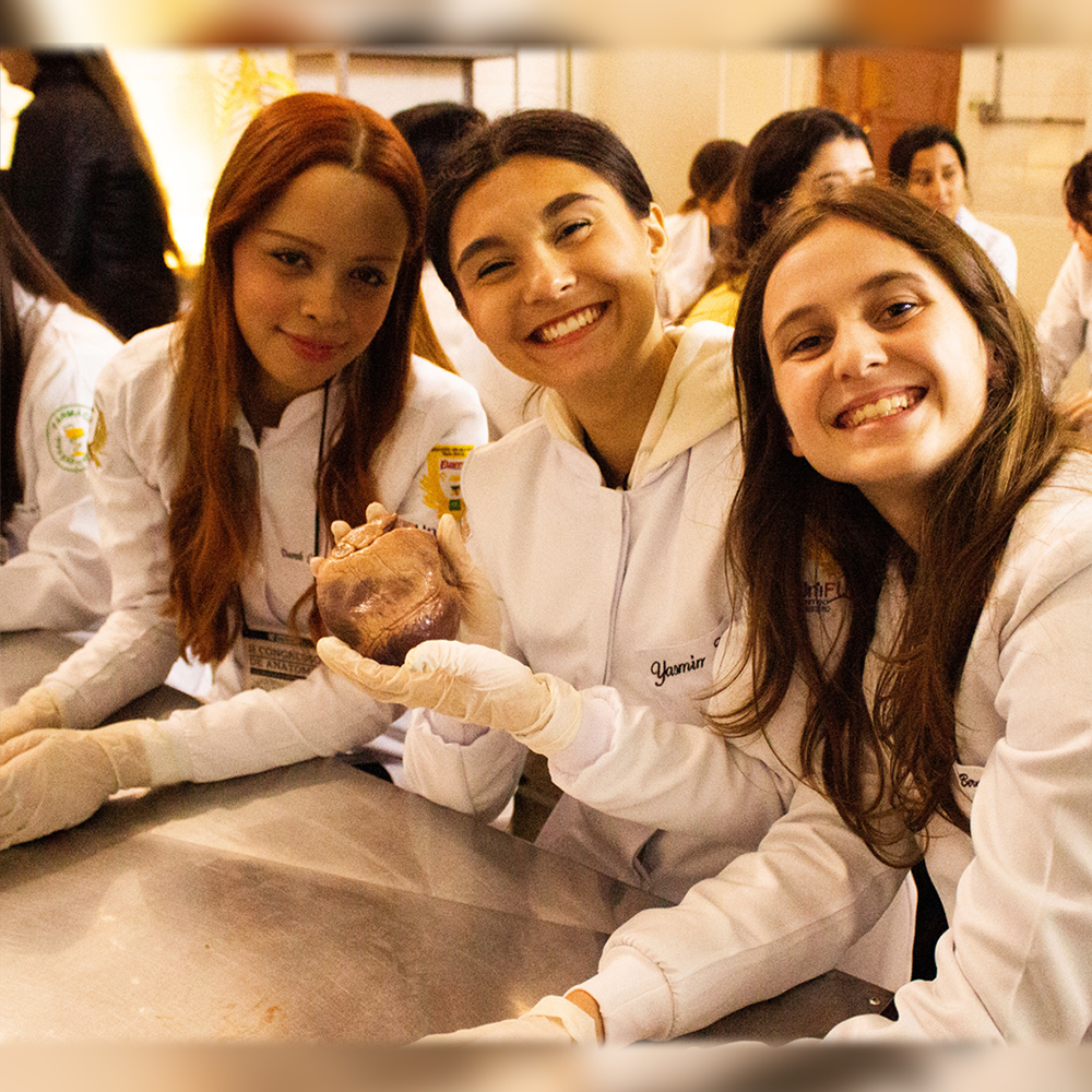 IICongAnatomia 014